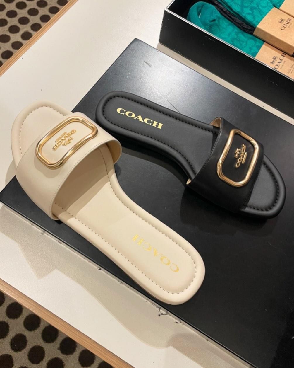 Celestia Flats B-SG-018